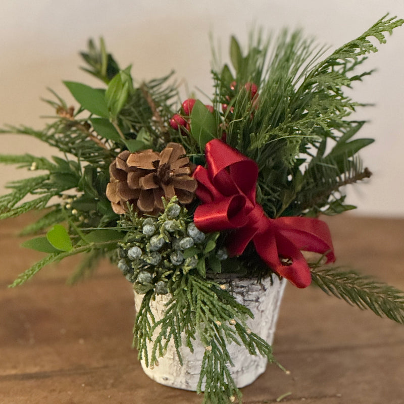 Mini Evergreen Birch Arrangement