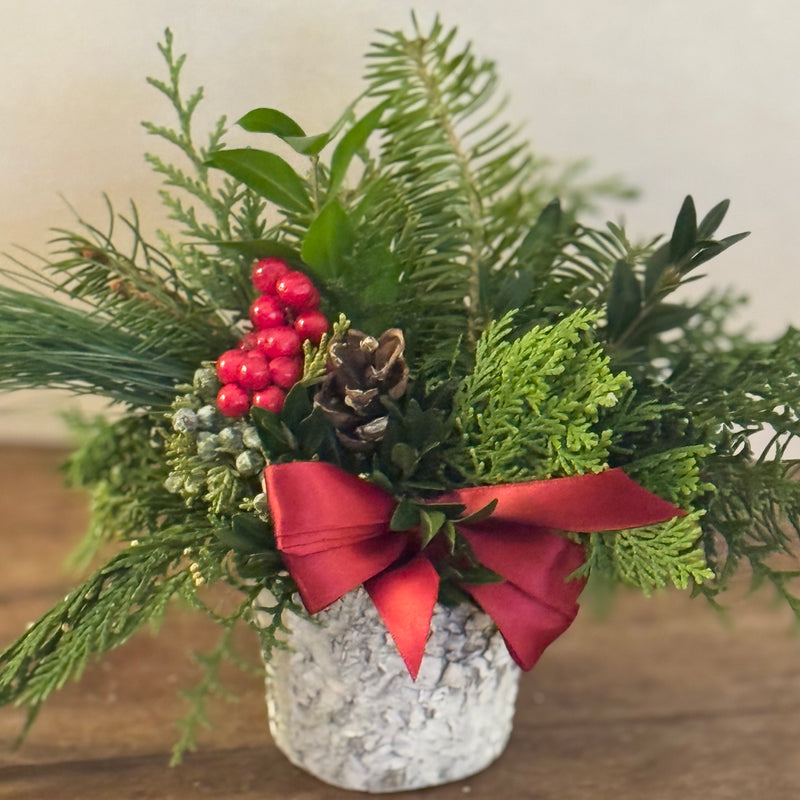 Mini Evergreen Birch Arrangement