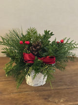 Mini Evergreen Birch Arrangement