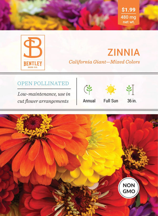 Zinnia-California Giant Mixed-Zinnia Elegans
